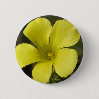 Bóton Redondo 5.08cm Botão amarelo da flor selvagem