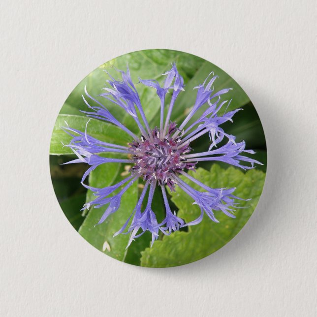 Bóton Redondo 5.08cm Botão Azul de Cornflower (Frente)