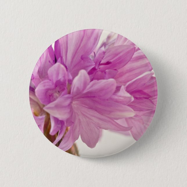 Bóton Redondo 5.08cm Botão Batchelor (Frente)