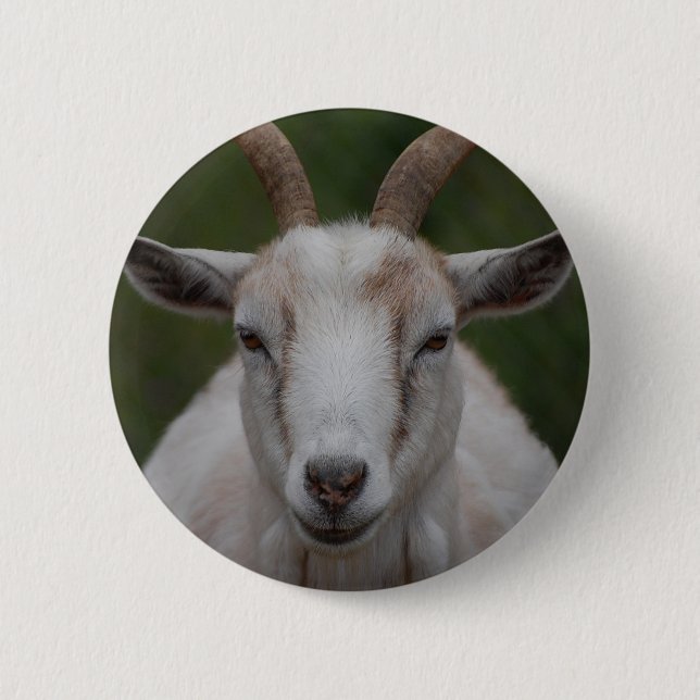 Bóton Redondo 5.08cm Botão branco da cabra (Frente)