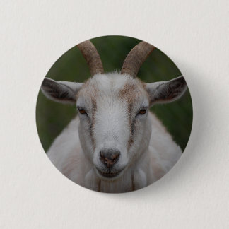 Bóton Redondo 5.08cm Botão branco da cabra