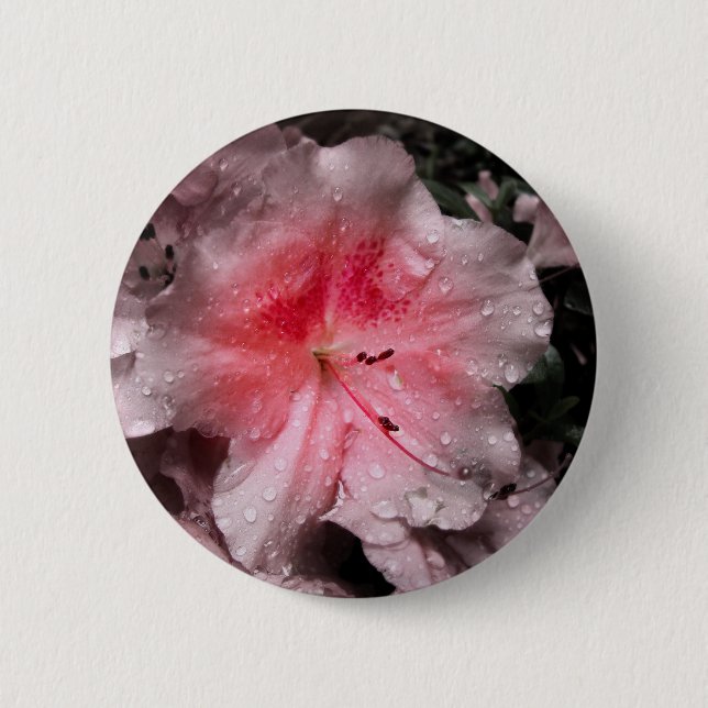 Bóton Redondo 5.08cm Botão Brilho Interior (Frente)