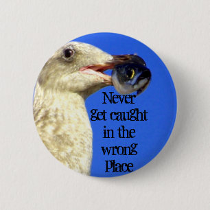 Bóton Redondo 5.08cm Botão Catch Me_