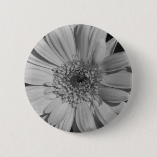 Bóton Redondo 5.08cm Botão cinzento do Gerbera