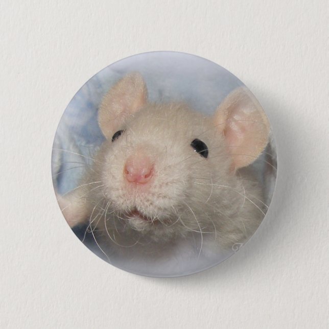 Bóton Redondo 5.08cm Botão da doçura (Frente)