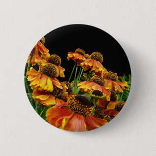 Bóton Redondo 5.08cm Botão da explosão do verão