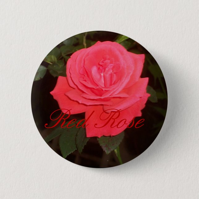 Bóton Redondo 5.08cm Botão da rosa vermelha (Frente)