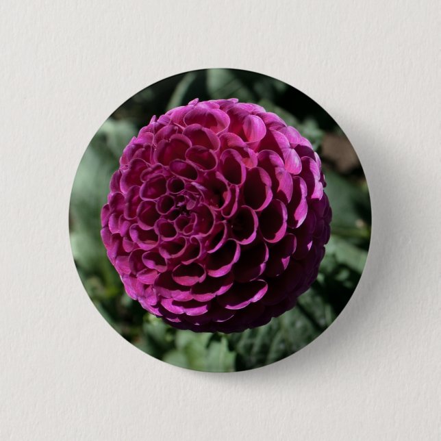 Bóton Redondo 5.08cm Botão Dahlia Roxo (Frente)