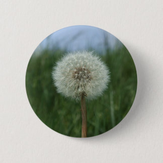 Bóton Redondo 5.08cm Botão Dandelion