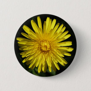 Bóton Redondo 5.08cm Botão Dandelion