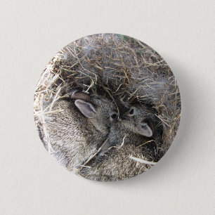 Bóton Redondo 5.08cm Botão de Bunnies de Bebês Selvagens