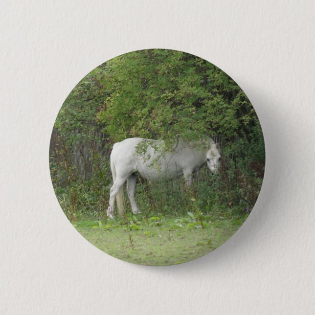 Bóton Redondo 5.08cm Botão de Cavalo Branco Tímido (Frente)
