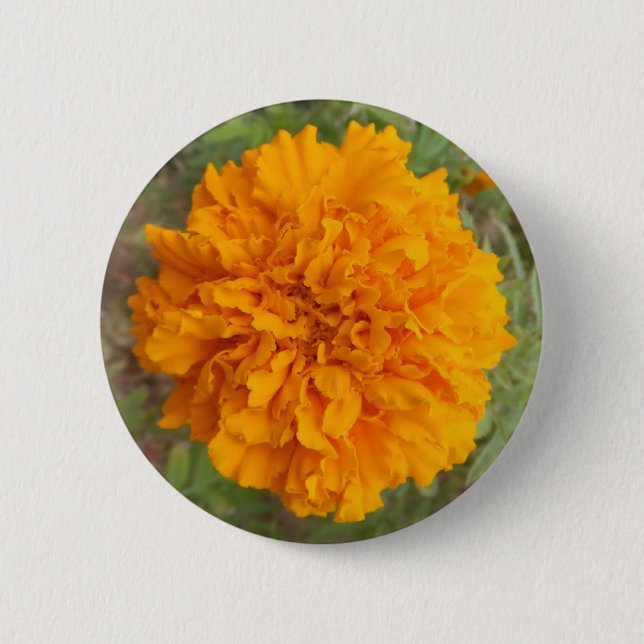 Bóton Redondo 5.08cm Botão de cor laranja (Frente)