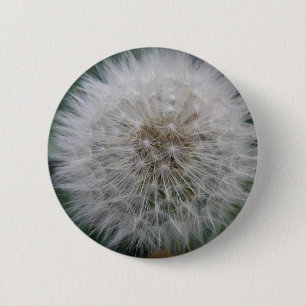 Bóton Redondo 5.08cm Botão de Flor de Dandelion de Seeding