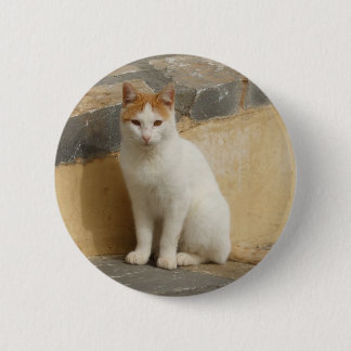 Bóton Redondo 5.08cm Botão de Gato Russo
