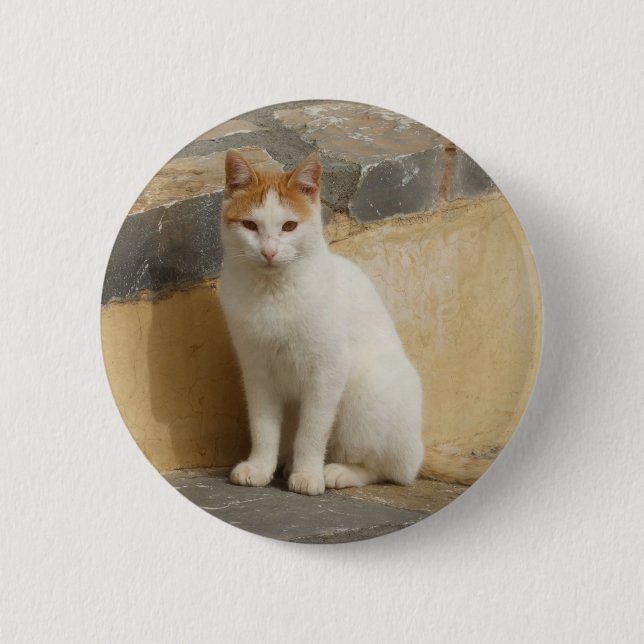 Bóton Redondo 5.08cm Botão de Gato Russo (Frente)