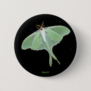 Bóton Redondo 5.08cm Botão de Inseto Mariposa Luna