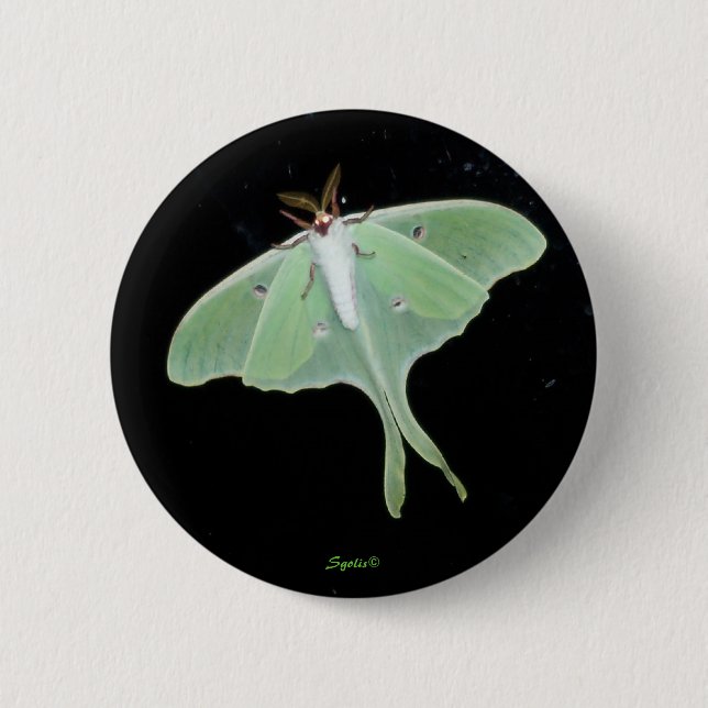Bóton Redondo 5.08cm Botão de Insetos Luna Moth (Frente)
