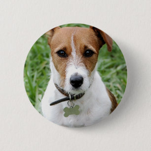 Bóton Redondo 5.08cm Botão de Jack Russell Terrier