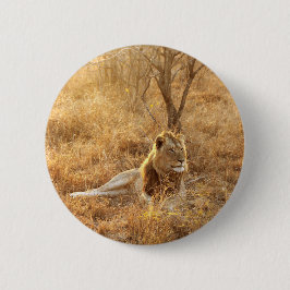 Bóton Redondo 5.08cm Botão de Leão