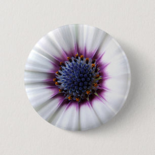 Bóton Redondo 5.08cm Botão de Osteospurmum