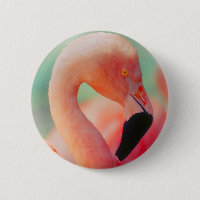 Botão de Pássaro Flamingo Rosa Exótico