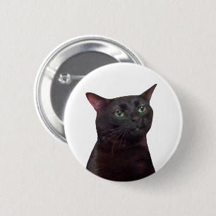 Bóton Redondo 5.08cm Botão de Pino de Memória de Gato Desconectado