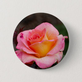 Bóton Redondo 5.08cm Botão de pino Rosa adorável