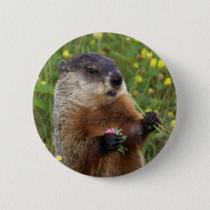 Bóton Redondo 5.08cm Botão de Pose do Groundhog - Mais Próximo