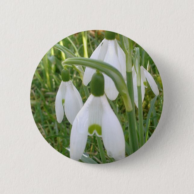Bóton Redondo 5.08cm Botão de Snowdrops (Frente)
