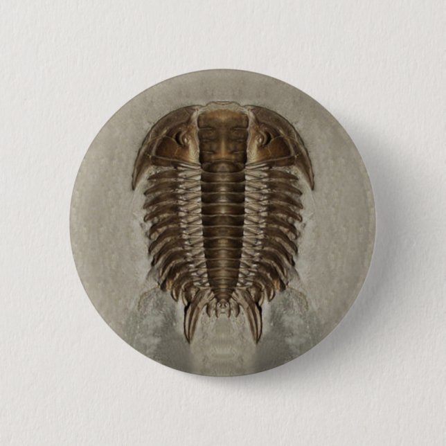 Bóton Redondo 5.08cm Botão de Trilobite (Frente)