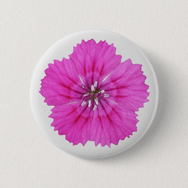 Bóton Redondo 5.08cm Botão Dianthus Rosa (Frente)