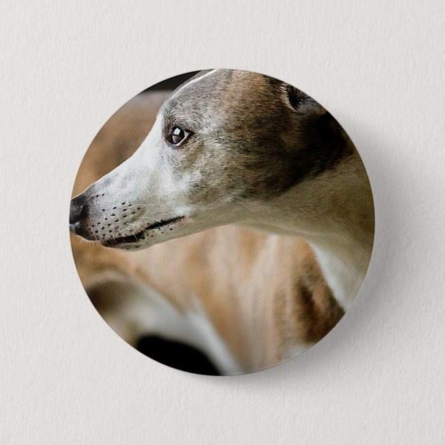 Bóton Redondo 5.08cm Botão do cão do galgo (Frente)
