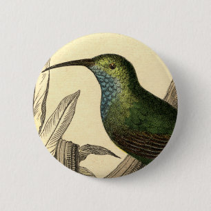 Bóton Redondo 5.08cm Botão do colibri do vintage