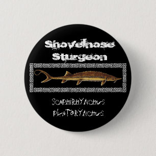 Bóton Redondo 5.08cm Botão do esturjão - esturjão de Shovelnose