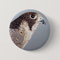 Botão do falcão de peregrino