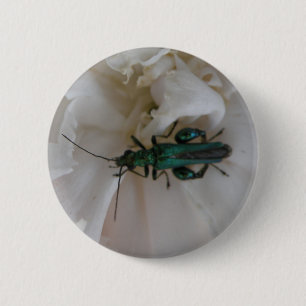 Bóton Redondo 5.08cm Botão do Flower Beetle