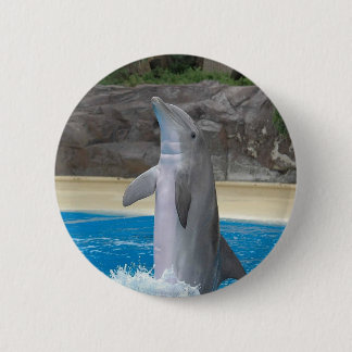 Bóton Redondo 5.08cm Botão do golfinho da dança