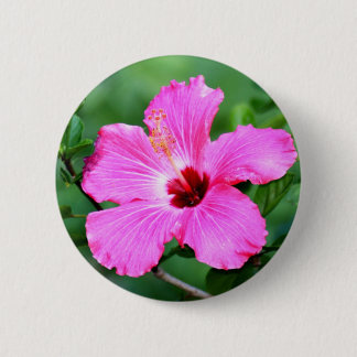 Bóton Redondo 5.08cm Botão do hibiscus