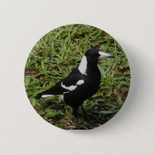Bóton Redondo 5.08cm Botão do Magpie australiano