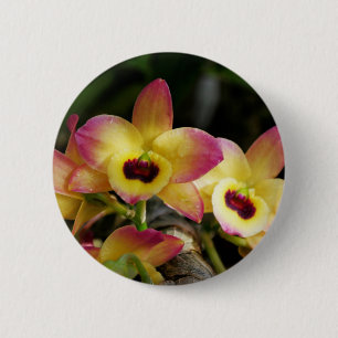 Bóton Redondo 5.08cm Botão do pino orquídeo vibrante