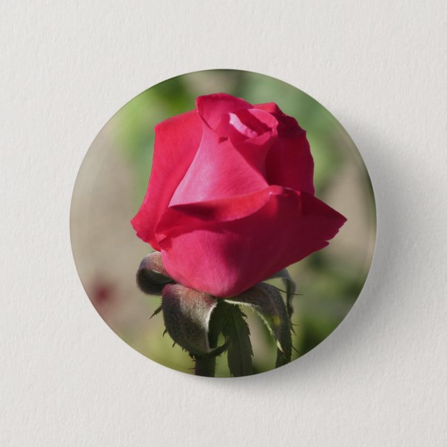 Bóton Redondo 5.08cm Botão do rosa do rosa (Frente)