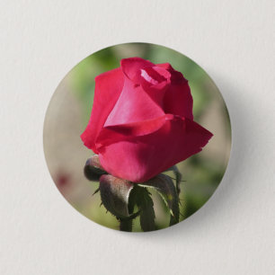 Bóton Redondo 5.08cm Botão do rosa do rosa