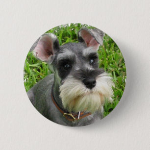 Bóton Redondo 5.08cm Botão do Schnauzer diminuto