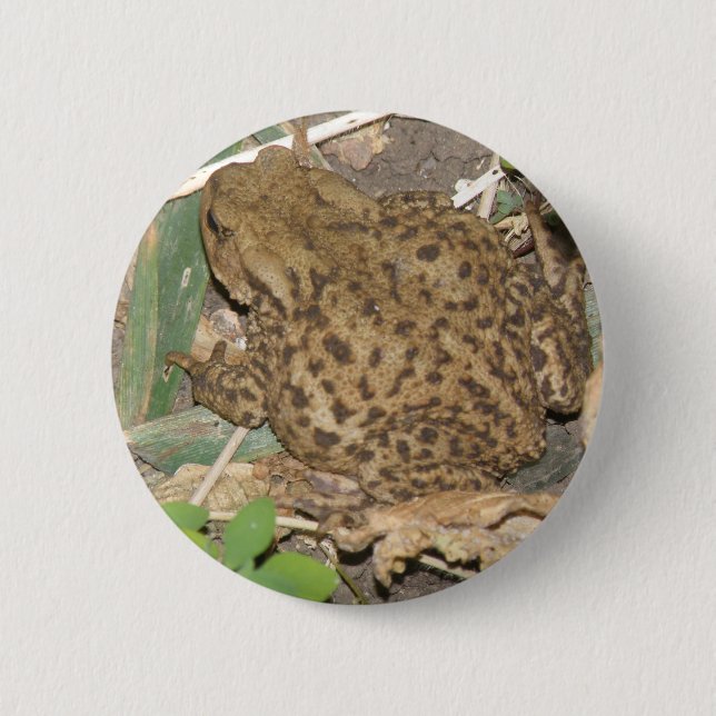 Bóton Redondo 5.08cm Botão Europeu Comum de Toad (Frente)