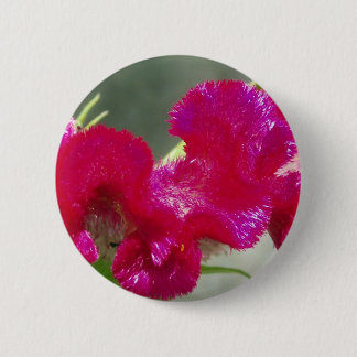 Bóton Redondo 5.08cm Botão Flor Rosa