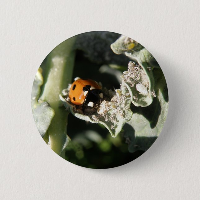 Bóton Redondo 5.08cm Botão Ladybug britânico 7 Spot (Frente)