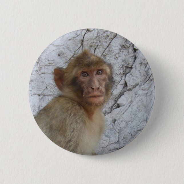 Bóton Redondo 5.08cm Botão Macaco Gibraltar (Frente)
