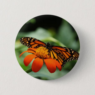 Bóton Redondo 5.08cm Botão Monarch Butterfly
