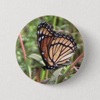 Bóton Redondo 5.08cm Botão Monarch Butterfly